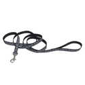 5/8-Inch X 6-Foot Lazer Brite Skulls & Cross Bones Reflective Dog Leash